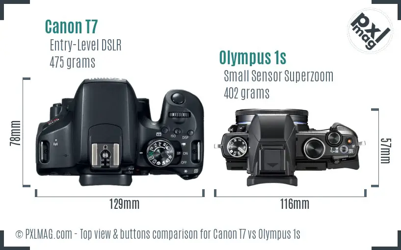 Canon T7 vs Olympus 1s top view buttons comparison