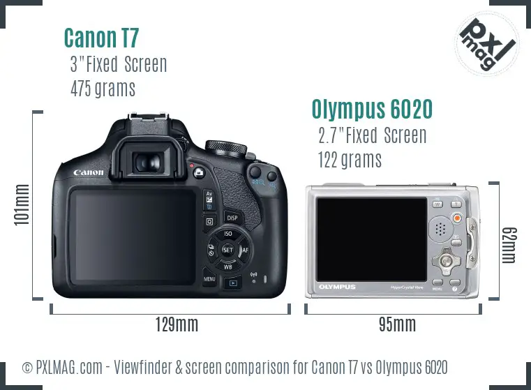 Canon T7 vs Olympus 6020 Screen and Viewfinder comparison
