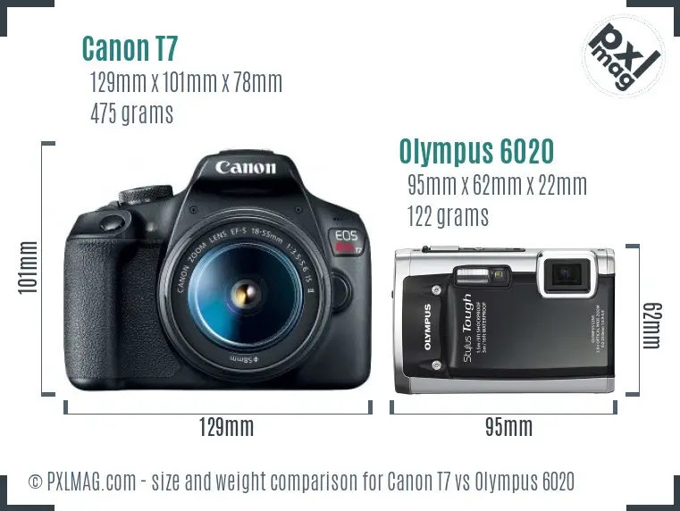 Canon T7 vs Olympus 6020 size comparison