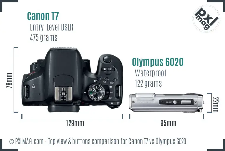 Canon T7 vs Olympus 6020 top view buttons comparison