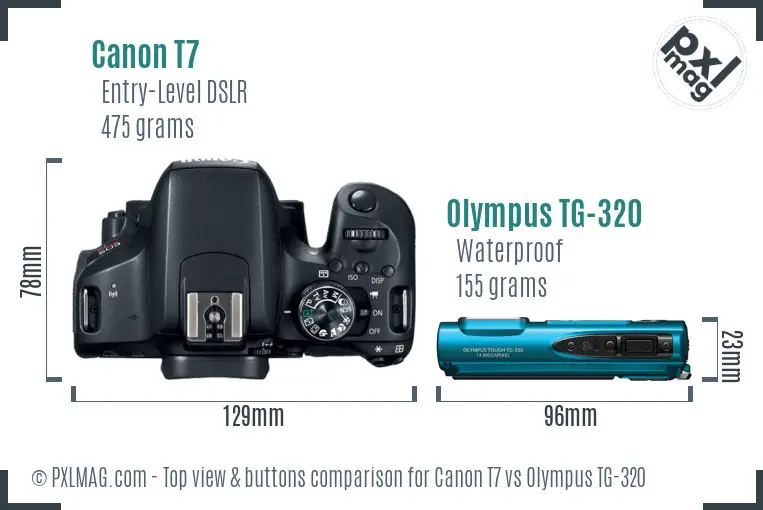 Canon T7 vs Olympus TG-320 top view buttons comparison