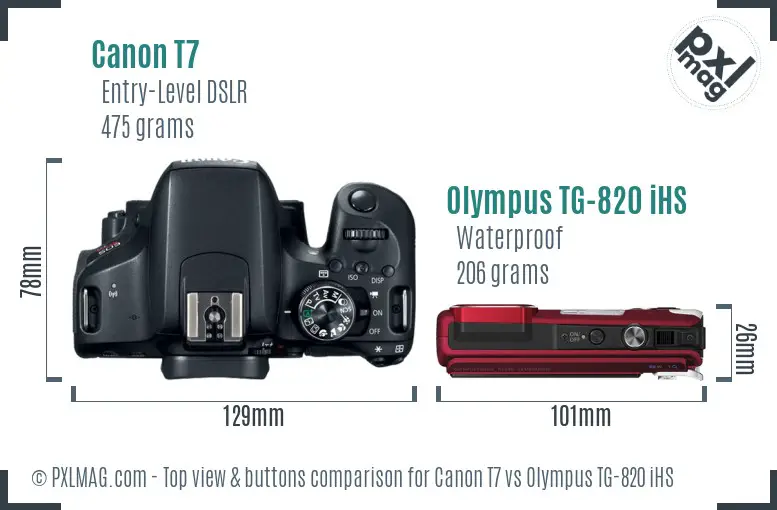 Canon T7 vs Olympus TG-820 iHS top view buttons comparison