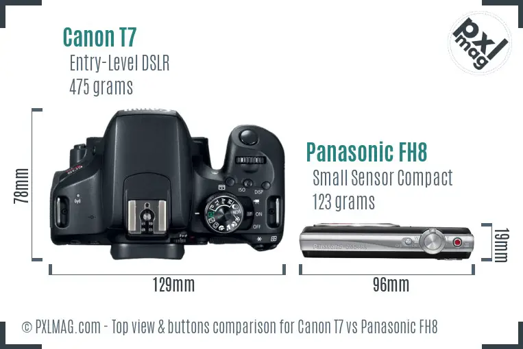 Canon T7 vs Panasonic FH8 top view buttons comparison