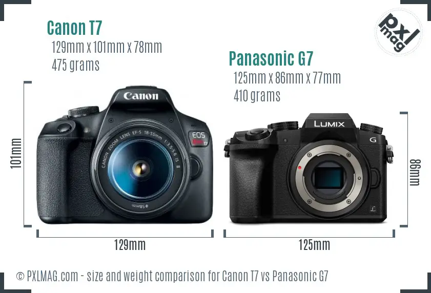 Canon T7 vs Panasonic G7 size comparison