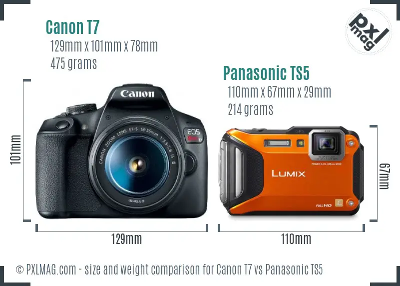 Canon T7 vs Panasonic TS5 size comparison
