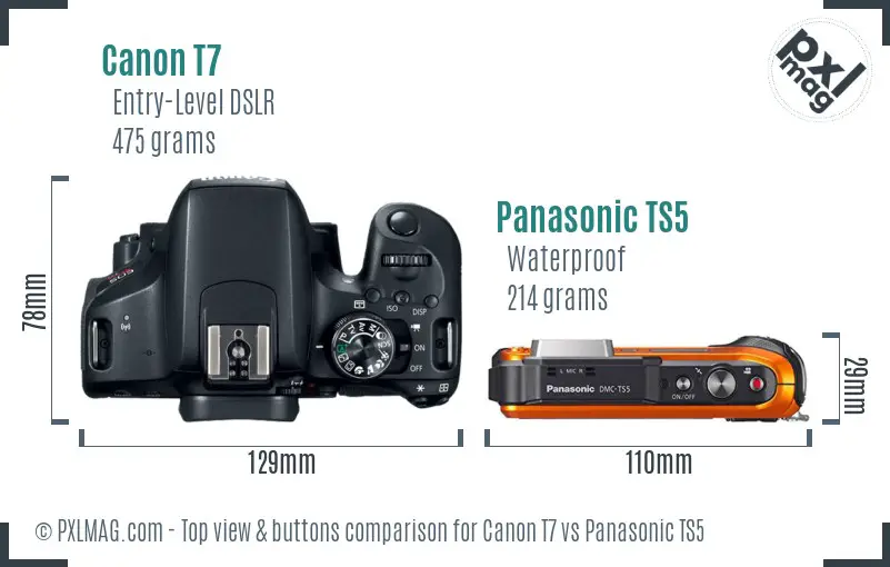Canon T7 vs Panasonic TS5 top view buttons comparison