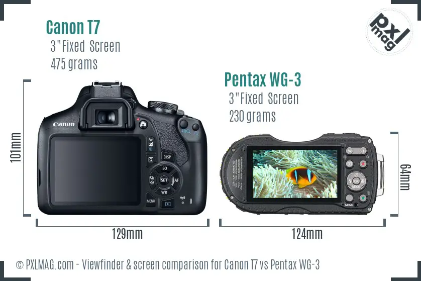 Canon T7 vs Pentax WG-3 Screen and Viewfinder comparison