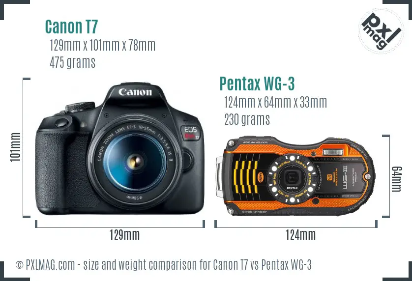 Canon T7 vs Pentax WG-3 size comparison