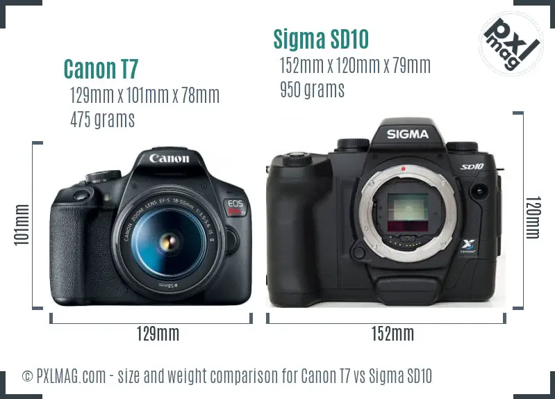 Canon T7 vs Sigma SD10 size comparison