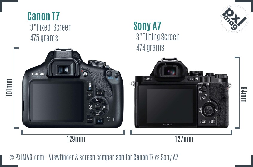 Canon T7 vs Sony A7 Screen and Viewfinder comparison