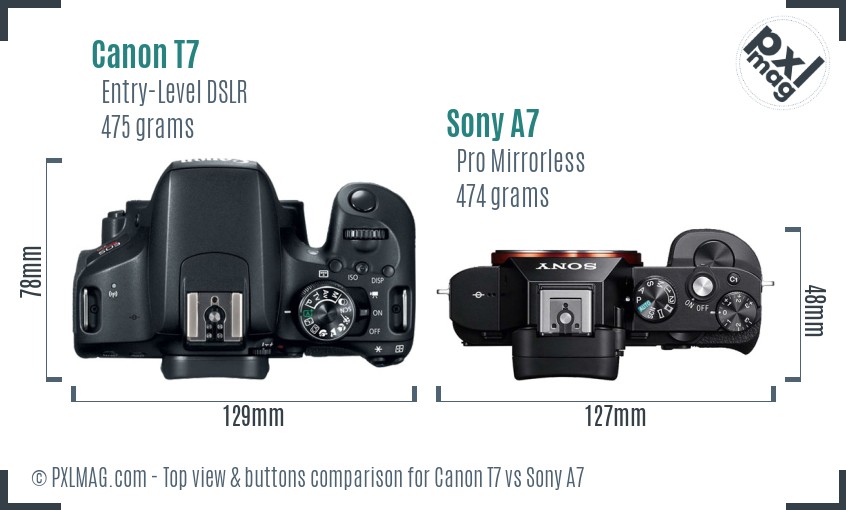 Canon T7 vs Sony A7 top view buttons comparison