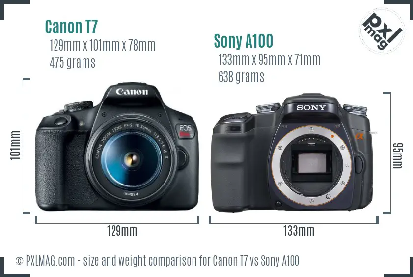 Canon T7 vs Sony A100 size comparison
