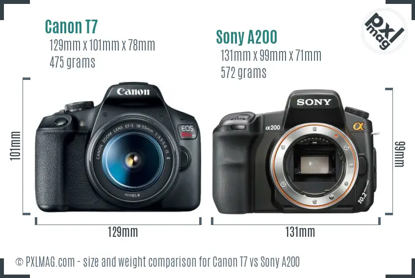 Canon T7 vs Sony A200 size comparison