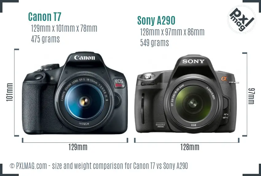 Canon T7 vs Sony A290 size comparison