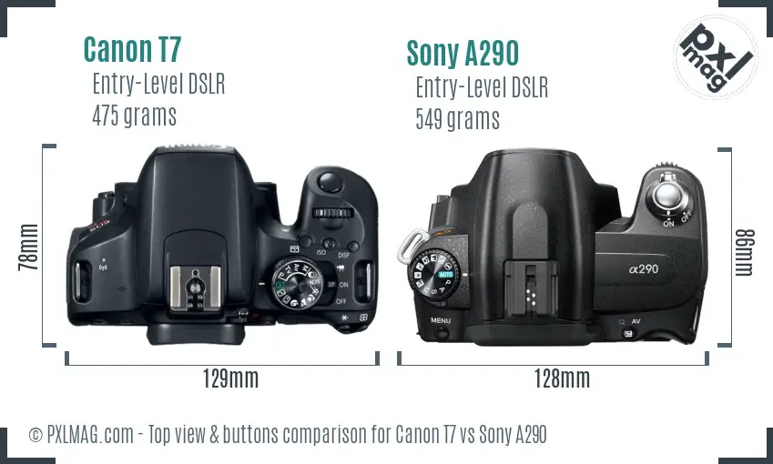 Canon T7 vs Sony A290 top view buttons comparison