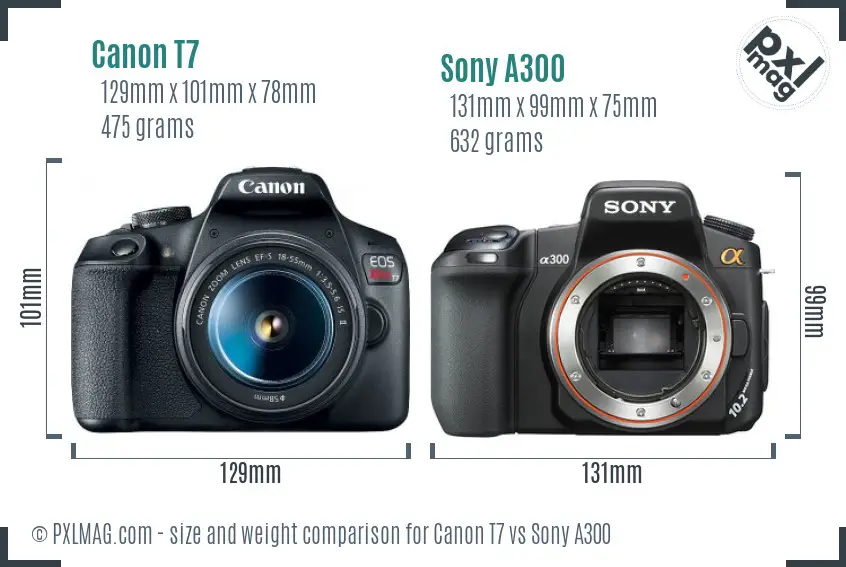 Canon T7 vs Sony A300 size comparison