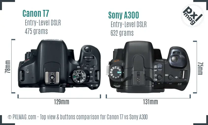 Canon T7 vs Sony A300 top view buttons comparison