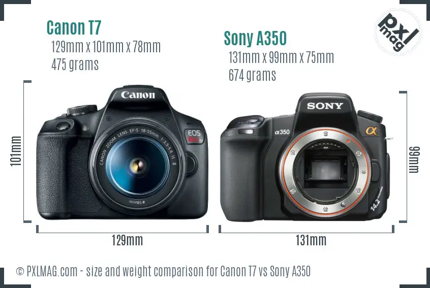 Canon T7 vs Sony A350 size comparison