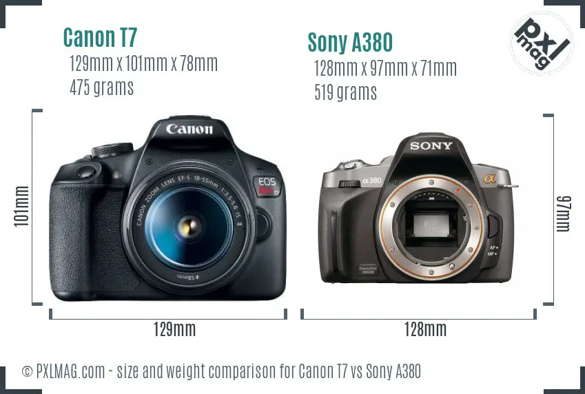 Canon T7 vs Sony A380 size comparison