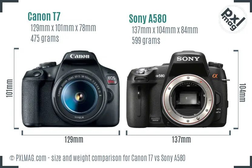 Canon T7 vs Sony A580 size comparison