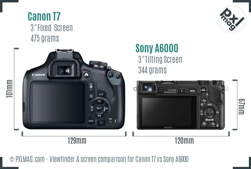 Canon T7 vs Sony A6000 Screen and Viewfinder comparison