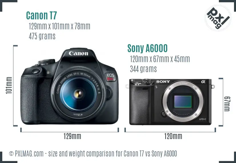 Canon T7 vs Sony A6000 size comparison