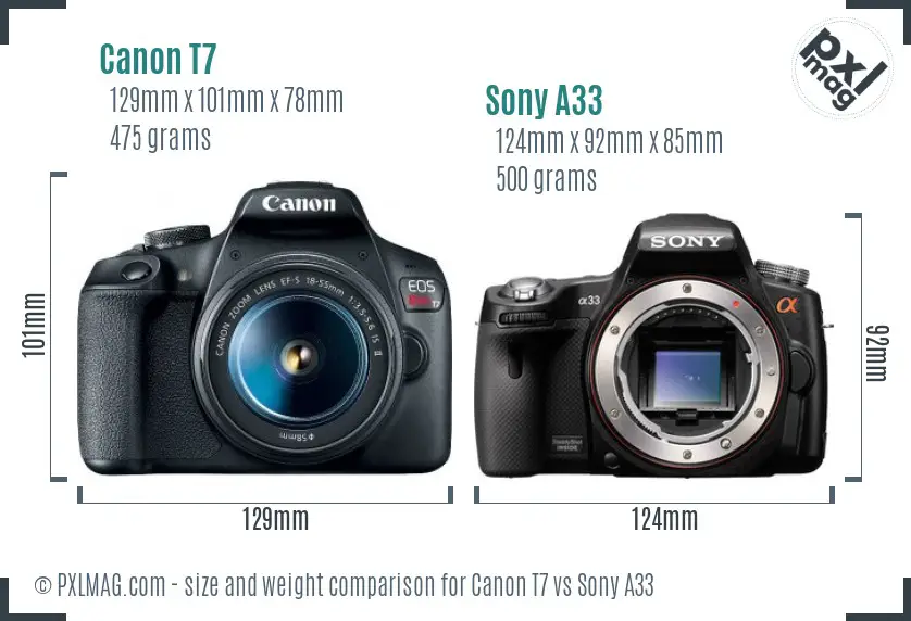 Canon T7 vs Sony A33 size comparison