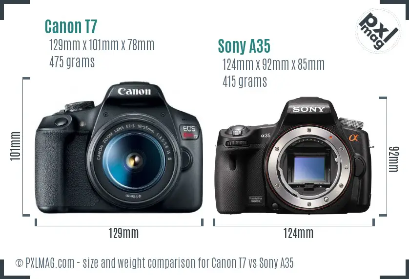 Canon T7 vs Sony A35 size comparison