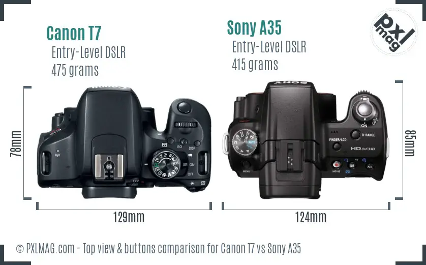 Canon T7 vs Sony A35 top view buttons comparison