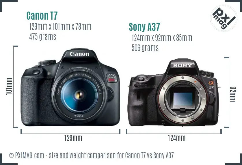 Canon T7 vs Sony A37 size comparison