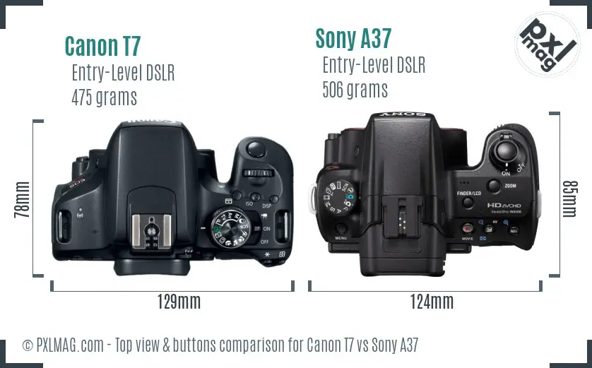 Canon T7 vs Sony A37 top view buttons comparison