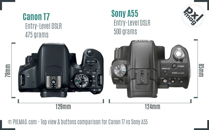 Canon T7 vs Sony A55 top view buttons comparison