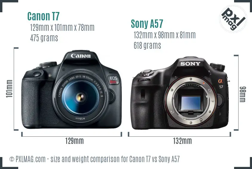 Canon T7 vs Sony A57 size comparison