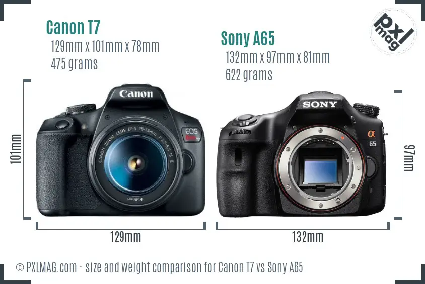 Canon T7 vs Sony A65 size comparison