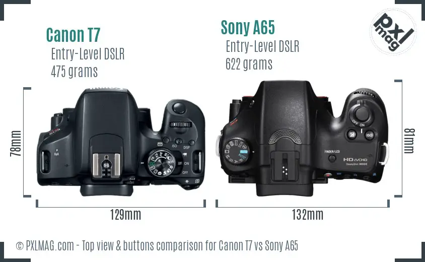 Canon T7 vs Sony A65 top view buttons comparison