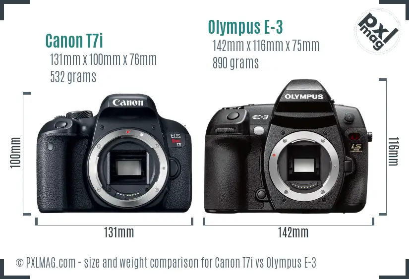 Canon T7i vs Olympus E-3 size comparison
