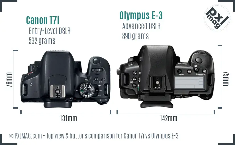 Canon T7i vs Olympus E-3 top view buttons comparison