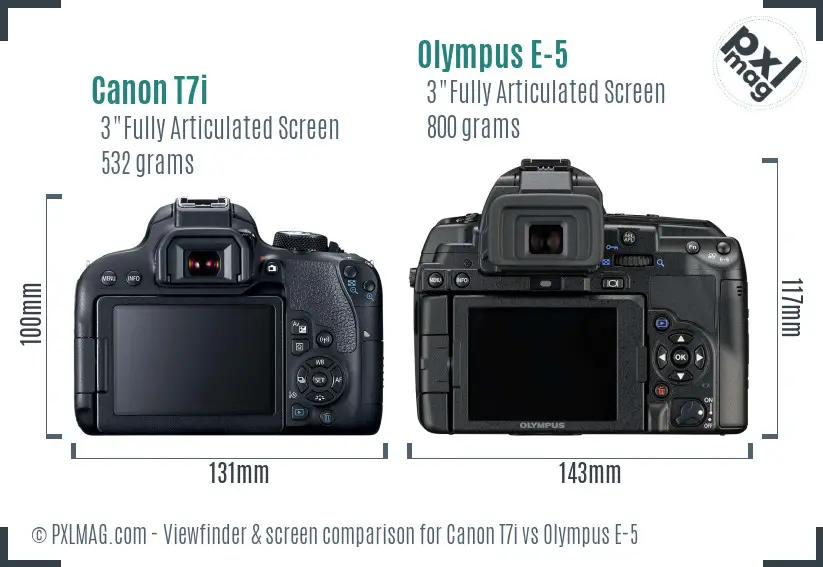Canon T7i vs Olympus E-5 Screen and Viewfinder comparison