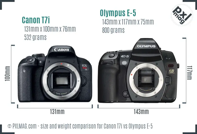 Canon T7i vs Olympus E-5 size comparison