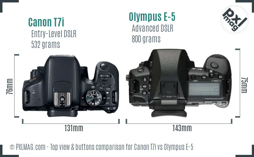 Canon T7i vs Olympus E-5 top view buttons comparison