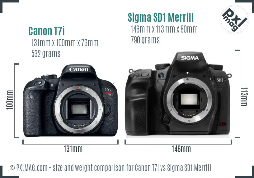 Canon T7i vs Sigma SD1 Merrill size comparison