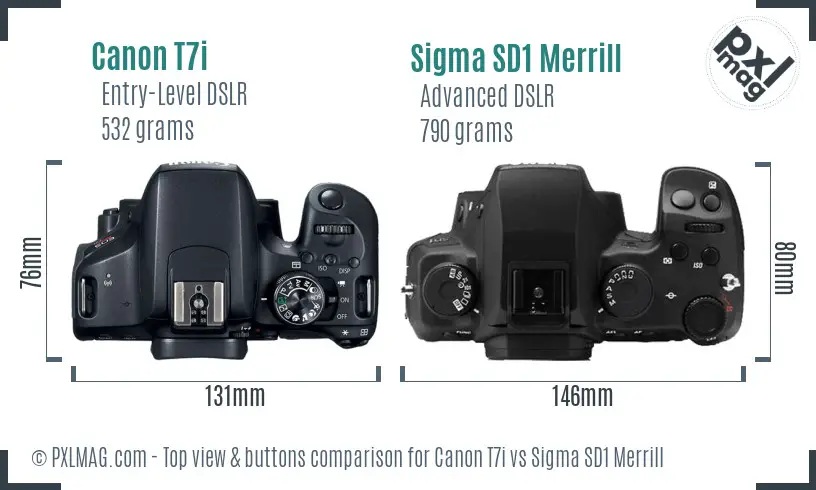 Canon T7i vs Sigma SD1 Merrill top view buttons comparison