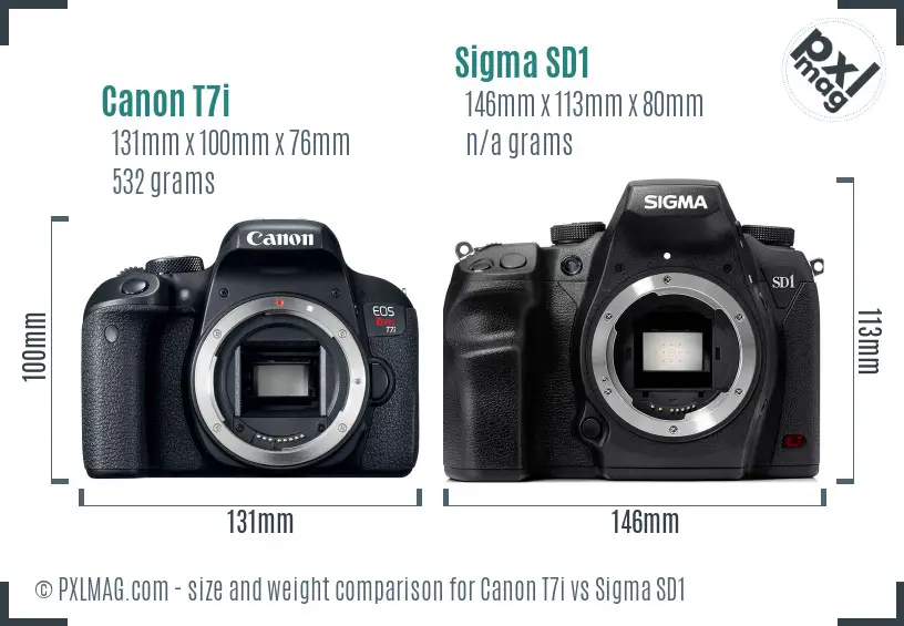 Canon T7i vs Sigma SD1 size comparison