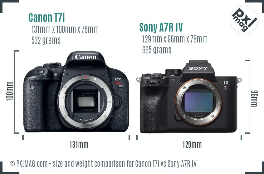 Canon T7i vs Sony A7R IV size comparison Canon T7i vs Sony A7R IV size comparison