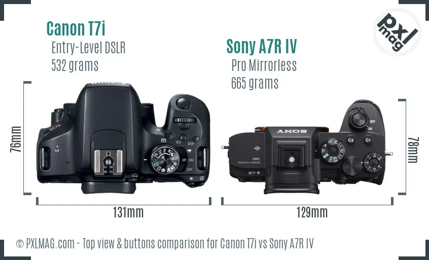 Canon T7i vs Sony A7R IV top view buttons comparison Canon T7i vs Sony A7R IV top view buttons comparison