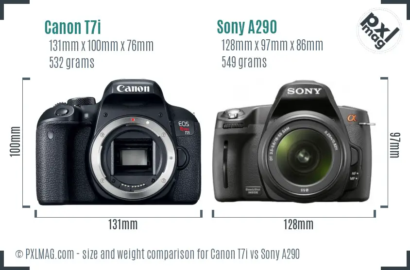 Canon T7i vs Sony A290 size comparison