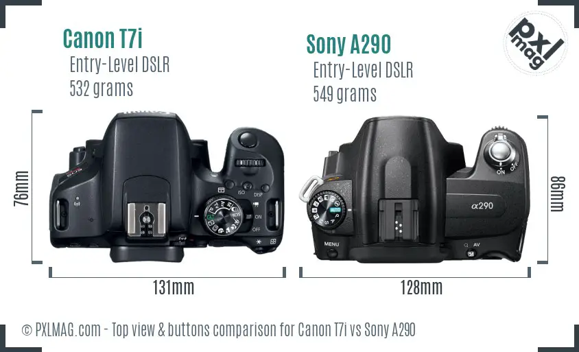 Canon T7i vs Sony A290 top view buttons comparison
