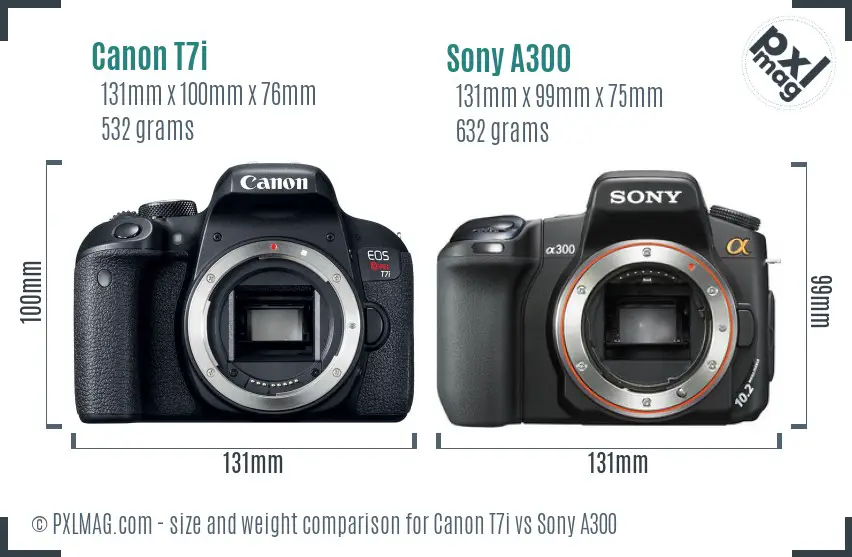 Canon T7i vs Sony A300 size comparison