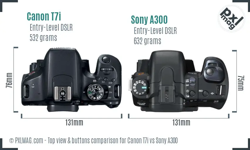 Canon T7i vs Sony A300 top view buttons comparison