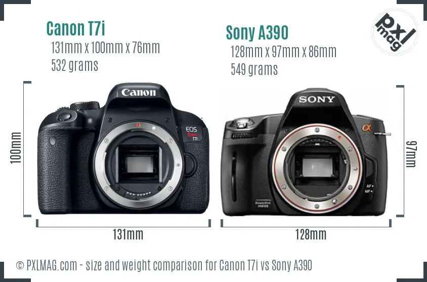Canon T7i vs Sony A390 size comparison